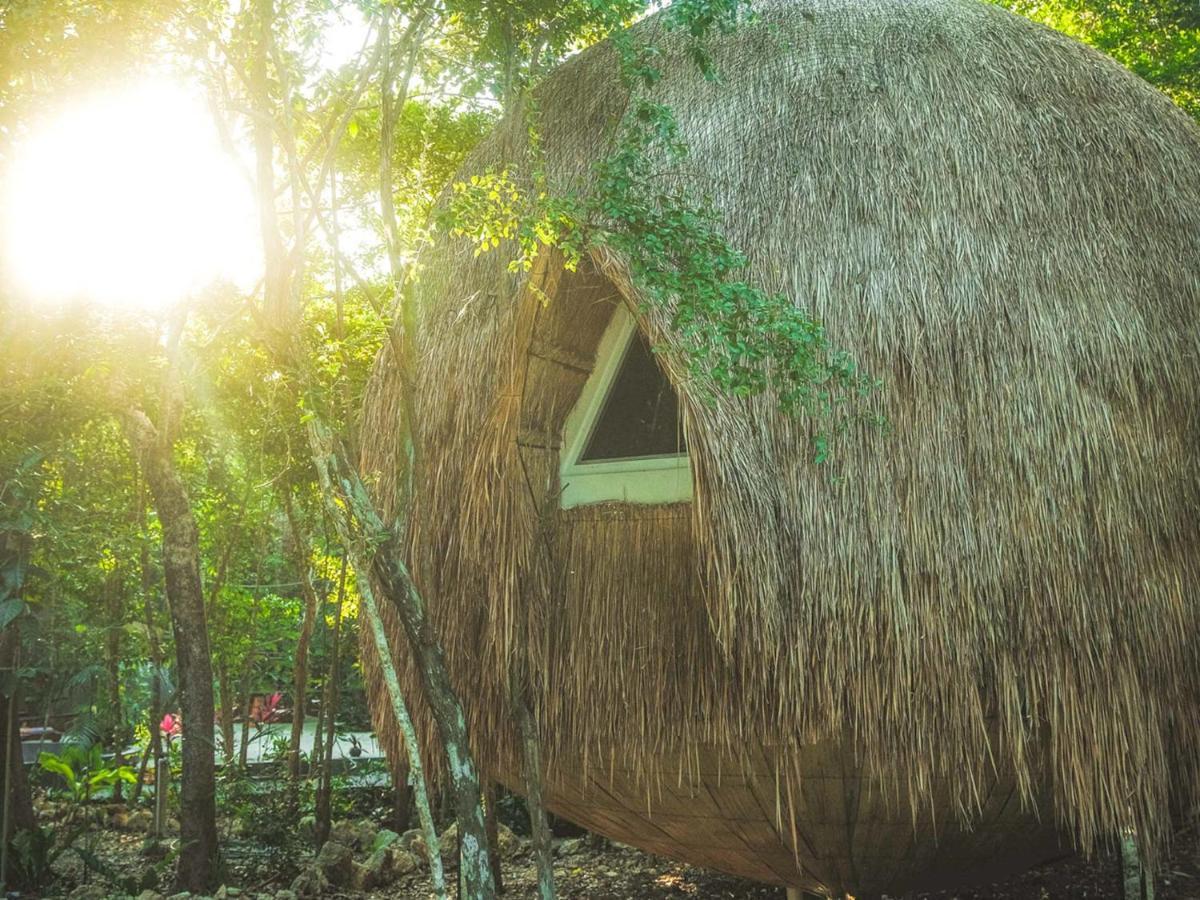 Casa Del Arbol At Villa Duendes Акумаль Экстерьер фото